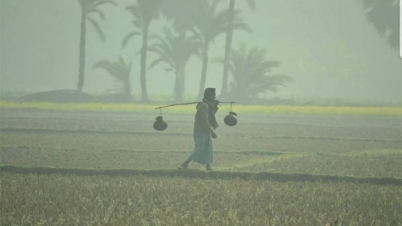 মৃদু শৈত্যপ্রবাহ অব্যাহত থাকতে পারে