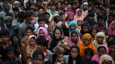 ৬০ হাজার রোহিঙ্গা তরুণ-তরুণীকে প্রশিক্ষণ দেবে সরকার