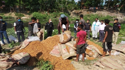 বগুড়ায় র‌্যাবের অভিযানে ৬০ বস্তা ভেজাল খেজুর জব্দ