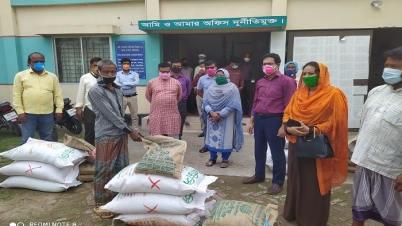 বগুড়ার নন্দীগ্রামে প্রান্তিক চাষিদের দেয়া হচ্ছে কৃষি প্রণোদনা