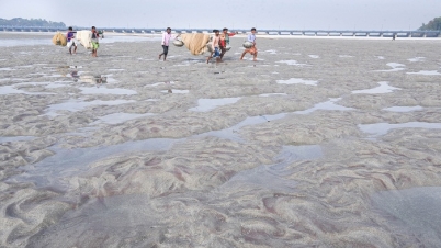 তিস্তার বুকে কর্মহীন হাজার হাজার জেলে