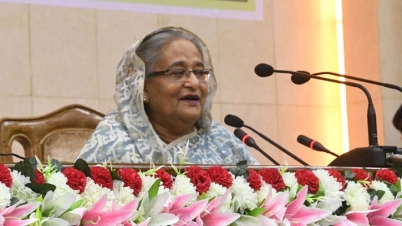 আন্দোলনে সফল না হলে জয়লাভ করা যায় না: প্রধানমন্ত্রী