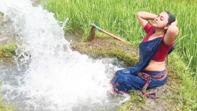 দেশীয় চলচ্চিত্র ২০১৯: বছরজুড়ে চেষ্টা ছিল গল্প বলার 