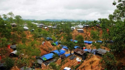 রোহিঙ্গাদের কারণে ২৪২০ কোটি টাকার বন ক্ষতিগ্রস্ত