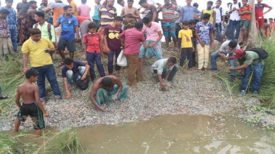 বগুড়ায় রাস্তা-বিলের ধারে বস্তা বস্তা টুকরো টাকা, হুলস্থুল (ভিডিও)