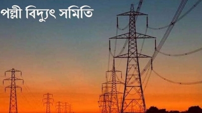 পল্লী বিদ্যুত সমিতিতে নিয়োগ