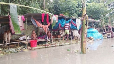 মারা গেছে একশ’র বেশি