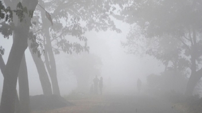 চলছে মৌসুমের শেষ শৈত্যপ্রবাহ 