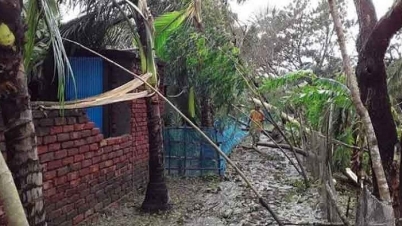 ‘বুলবুল’-এর আঘাতে লণ্ডভণ্ড সাতক্ষীরার উপকূল