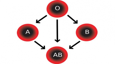 কোন রক্তের গ্ৰুপের কোন রোগে আক্রান্তের সম্ভাবনা বেশি?