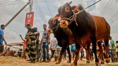 করোনা: কোরবানি না দিলেও কী চলবে?