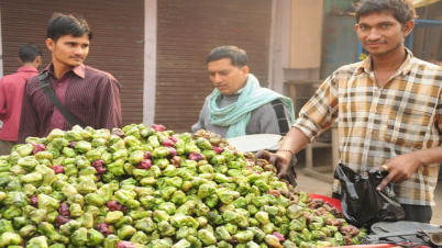 গুণের সীমা নেই পানিফলের