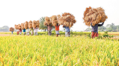 এবার ৩৮ হাজার কোটি টাকা কৃষি ঋণ দেবে ব্যাংক