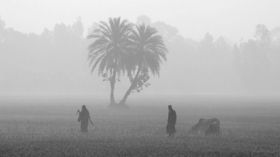 ফের শৈত্যপ্রবাহ আসছে