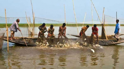 ৪৭ হাজার জেলে পাচ্ছে সরকারি চাল