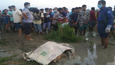 এবার নোয়াখালীতে গৃহবধূকে ৪ টুকরো করে হত্যা