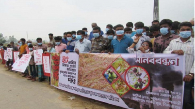 পার্বতীপুরে ভাটার বিষাক্ত গ্যাসে কোটি টাকার ক্ষয়ক্ষতি!