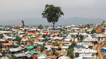 রোহিঙ্গাদের জন্য যুক্তরাষ্ট্রের সহায়তা স্থগিত হবে না