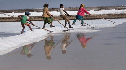 লবণে আয়োডিন না থাকলে জেল-জরিমানা