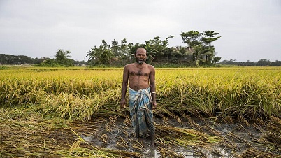 বাড়ছে কৃষকদের মধ্যে ক্যান্সার প্রকোপ 