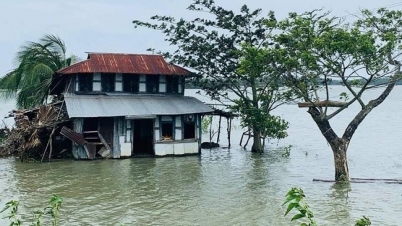 পটুয়াখালীতে বেড়িবাঁধ ভেঙে ২১ গ্রাম প্লাবিত 