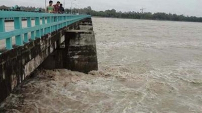 তিস্তার পানি বিপৎসীমার ওপরে: চরাঞ্চলে বন্যা