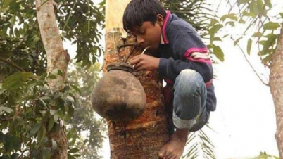 শীতের সকালে প্রতিদিন পান করুন খেজুরের রস