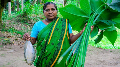 কচুশাকের কত গুণ?