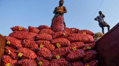 আমদানির খবরে পেঁয়াজের দাম কেজিতে কমলো  ২০ টাকা