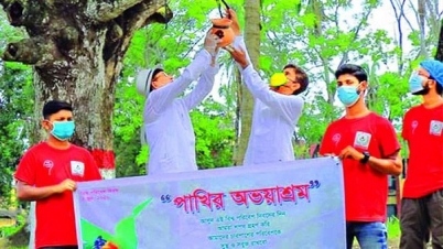 পাখির জন্য ভালোবাসা