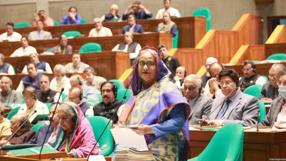 বিদেশে কিলার হায়ার করে আমাকে মারার চেষ্টা হয়েছে: প্রধানমন্ত্রী