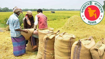 কৃষকের কাছ থেকে সরাসরি আমন ধান কিনবে সরকার