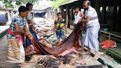 চামড়া প্রক্রিয়াজাতকরণে শিশুদের দেখলে আইনি ব্যবস্থা